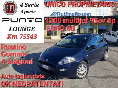 Fiat Punto 95CV S&amp;S 5 porte Van Easy 4 posti Blu/Azzurro usata Cumiana