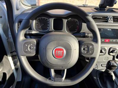 Fiat Panda BELLISSIMA PANDA CITY CROSS Bianco usata Venafro
