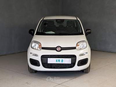 Fiat Panda Panda - 1.0 Hybrid 70cv - Pandina Icon Bianco usata Robecco sul Naviglio