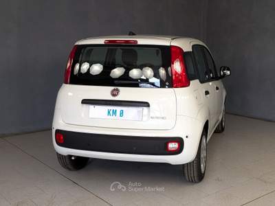 Fiat Panda Panda - 1.0 Hybrid 70cv - Pandina Icon Bianco usata Robecco sul Naviglio