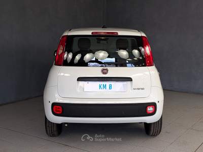 Fiat Panda Panda - 1.0 Hybrid 70cv - Pandina Icon Bianco usata Robecco sul Naviglio