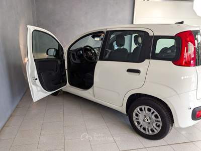 Fiat Panda Panda - 1.0 Hybrid 70cv - Pandina Icon Bianco usata Robecco sul Naviglio