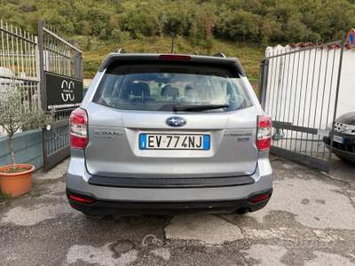 Subaru Forester Dynamic 4 x 4 usata Prevalle