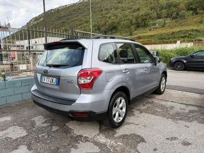 Subaru Forester Dynamic 4 x 4 usata Prevalle