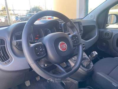 Fiat Panda 1.0 FireFly S&amp;S Hybrid Rosso usata Pinerolo