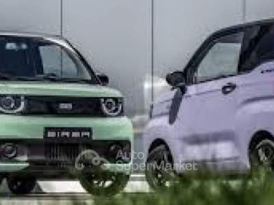 Birba 13,9 kWh Classic Lilla usata Roma