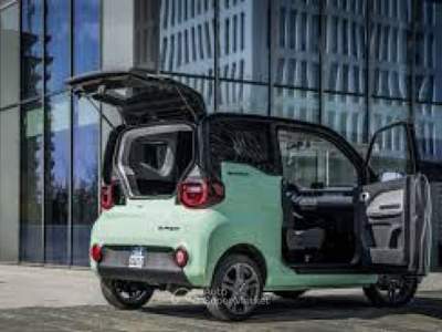 Birba 13,9 kWh Classic Verde usata Roma