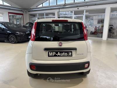 Fiat Panda 1.0 FireFly 70cv S&S Hybrid TUA A 237,00 AL MESE Bianco usata Castellanza