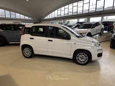 Fiat Panda 1.0 FireFly 70cv S&S Hybrid TUA A 237,00 AL MESE Bianco usata Castellanza