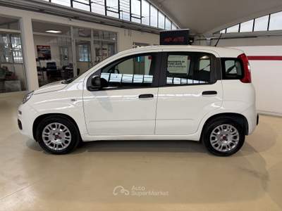 Fiat Panda 1.0 FireFly 70cv S&S Hybrid TUA A 237,00 AL MESE Bianco usata Castellanza