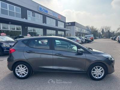 Ford Fiesta GPL 5P Titanium NEOPATENTATI Grigio usata Ravenna