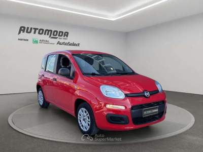 Fiat Panda 1.0 Hybrid Van 4 posti Rosso usata San Miniato
