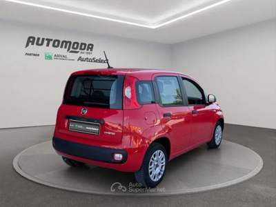 Fiat Panda 1.0 Hybrid Van 4 posti Rosso usata San Miniato
