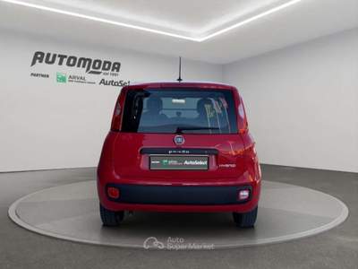 Fiat Panda 1.0 Hybrid Van 4 posti Rosso usata San Miniato