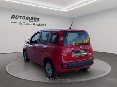 Fiat Panda 1.0 Hybrid Van 4 posti Rosso usata San Miniato