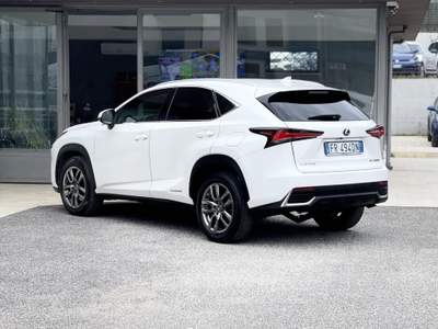 Lexus NX 300h 300 2.5 Hybrid 155CV 4WD E6 - 2018 Bianco usata Roma
