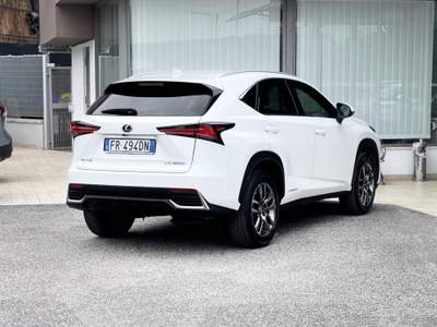 Lexus NX 300h 300 2.5 Hybrid 155CV 4WD E6 - 2018 Bianco usata Roma