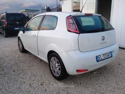 Fiat Punto . usata Alife