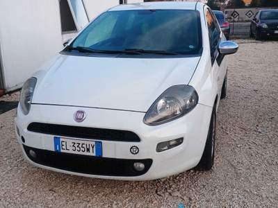 Fiat Punto . usata Alife