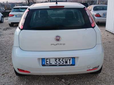 Fiat Punto . usata Alife