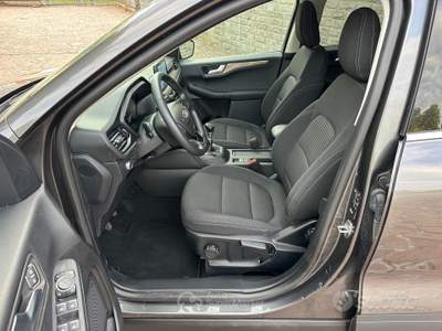 Ford Kuga EcoBlue 120 CV aut. 2WD Titanium usata Pieve di Cento