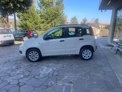 Fiat Panda Turbo Natural Power Lounge NEO PATENTATI Beige usata Perugia