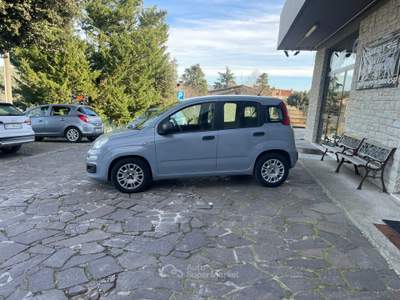 Fiat Panda FireFly S&S Hybrid NEO PATENTATI Grigio usata Perugia