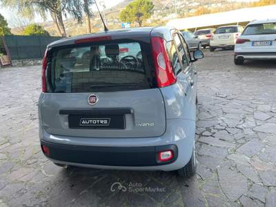 Fiat Panda FireFly S&S Hybrid NEO PATENTATI Grigio usata Perugia