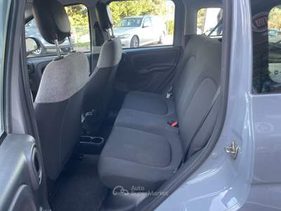 Fiat Panda FireFly S&S Hybrid NEO PATENTATI Grigio usata Perugia