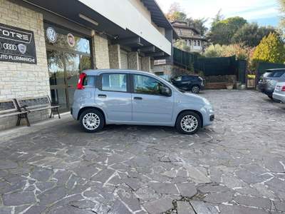 Fiat Panda FireFly S&S Hybrid NEO PATENTATI Grigio usata Perugia