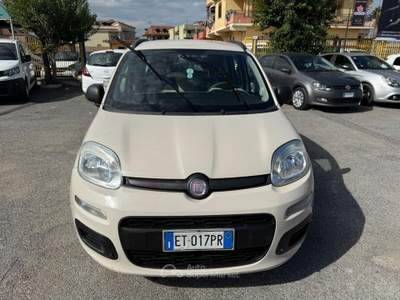 Fiat Panda 1.3MULTIJET 75CV S&S EURO5B Beige usata giugliano in campania