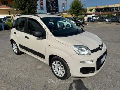 Fiat Panda 1.3MULTIJET 75CV S&S EURO5B Beige usata giugliano in campania