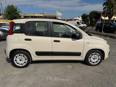 Fiat Panda 1.3MULTIJET 75CV S&S EURO5B Beige usata giugliano in campania