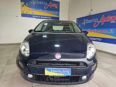 Fiat Punto 1.3 MJT 75CV 16V 5 porte Young Blu/Azzurro usata ADRANO