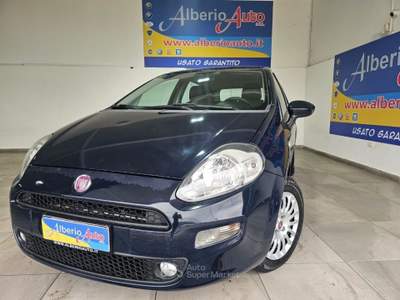 Fiat Punto 1.3 MJT 75CV 16V 5 porte Young Blu/Azzurro usata ADRANO