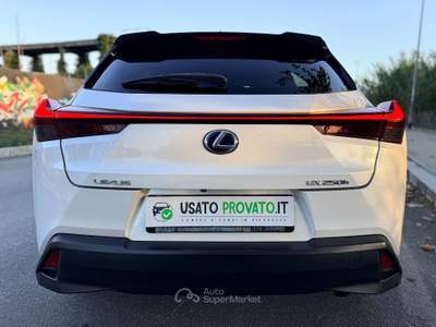 Lexus UX 250 184cv Hybrid Tagliandi Garanzia LEXUS Bianco usata Roma
