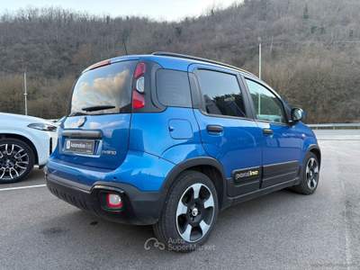 Fiat Panda Panda Cross 1.0 FireFly S&S Hybrid Blu/Azzurro usata RIETI