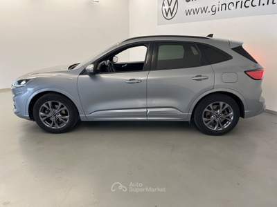 Ford Kuga Kuga 1.5 EcoBlue 120 CV 2WD ST-Line Grigio usata Cesena
