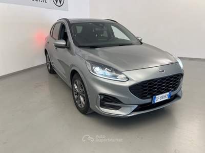 Ford Kuga Kuga 1.5 EcoBlue 120 CV 2WD ST-Line Grigio usata Cesena