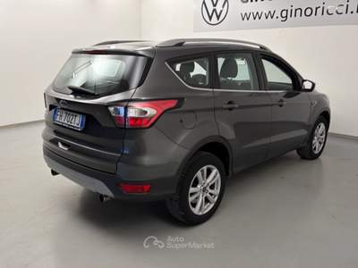 Ford Kuga 1.5 TDCi 120CV S&S 2WD Business Grigio usata Cesena