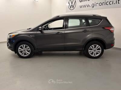 Ford Kuga 1.5 TDCi 120CV S&S 2WD Business Grigio usata Cesena