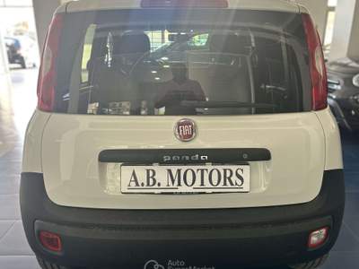 Fiat Panda FIAT PANDA VAN 2 POSTI PIU' IVA Bianco usata Montecorvino Pugliano