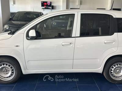 Fiat Panda FIAT PANDA VAN 2 POSTI PIU' IVA Bianco usata Montecorvino Pugliano