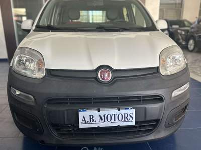 Fiat Panda FIAT PANDA VAN 2 POSTI PIU' IVA Bianco usata Montecorvino Pugliano
