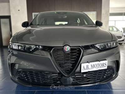 Alfa Romeo Tonale Tonale 1.6 Sprint 130cv tct6 Grigio usata Montecorvino Pugliano