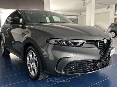 Alfa Romeo Tonale Tonale 1.6 Sprint 130cv tct6 Grigio usata Montecorvino Pugliano