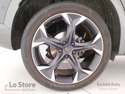 Cupra Formentor 2.0 tdi 4drive 150cv dsg Grigio usata Pisa