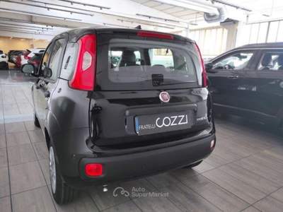 Fiat Pandina  -  1.0 firefly 65 cv hybrid icon Nero usata LEGNANO