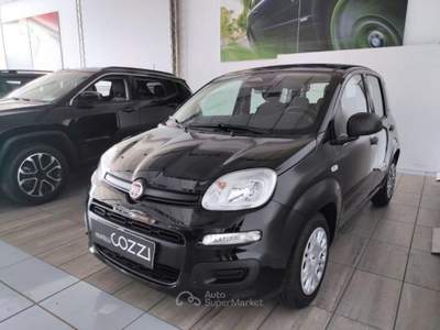 Fiat Pandina  -  1.0 firefly 65 cv hybrid icon Nero usata LEGNANO