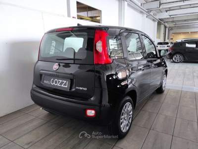 Fiat Pandina  -  1.0 firefly 65 cv hybrid icon Nero usata LEGNANO